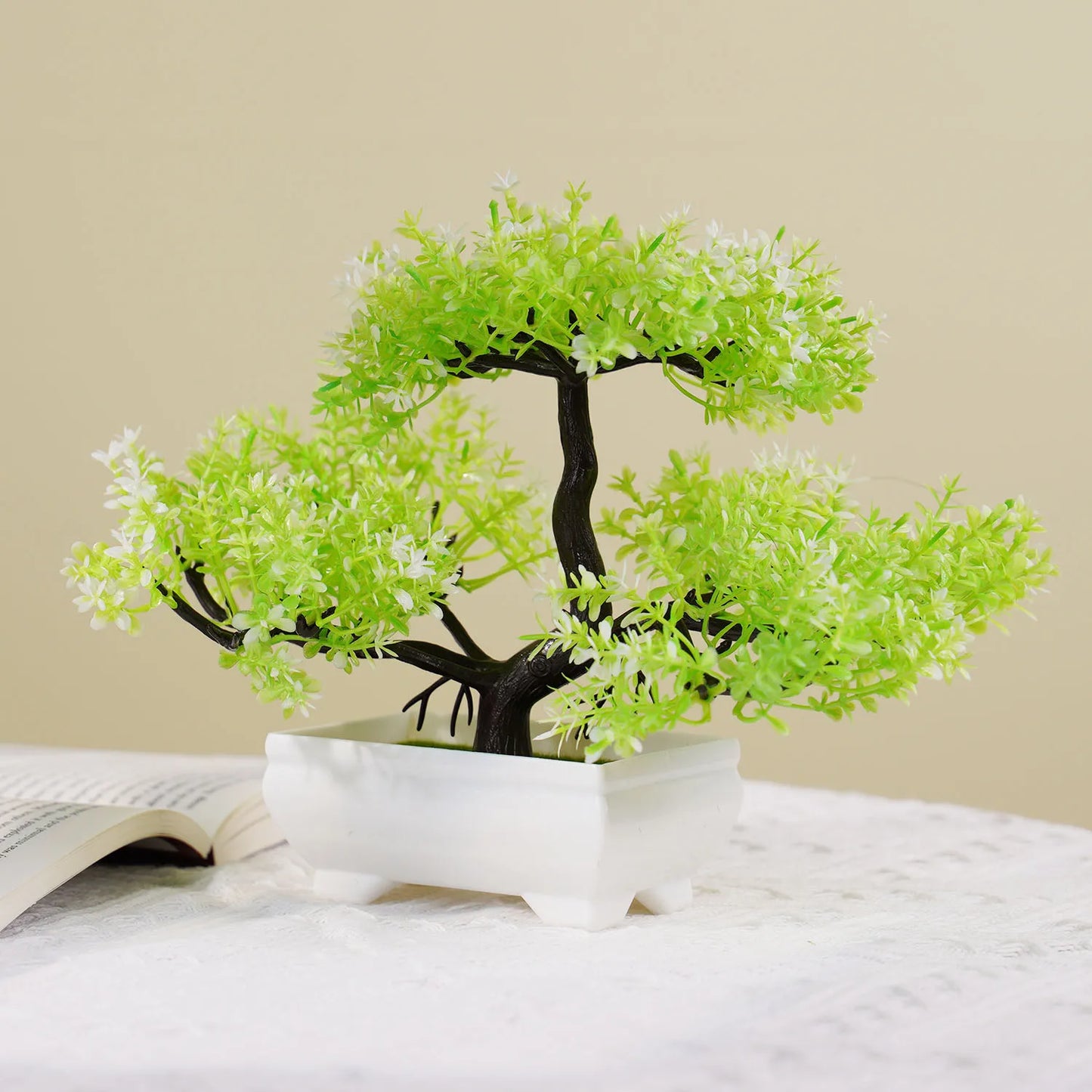 Small Evergreen Bonsai